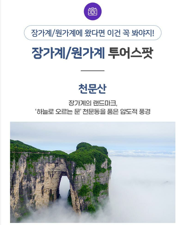 그린홈쇼핑 이미지