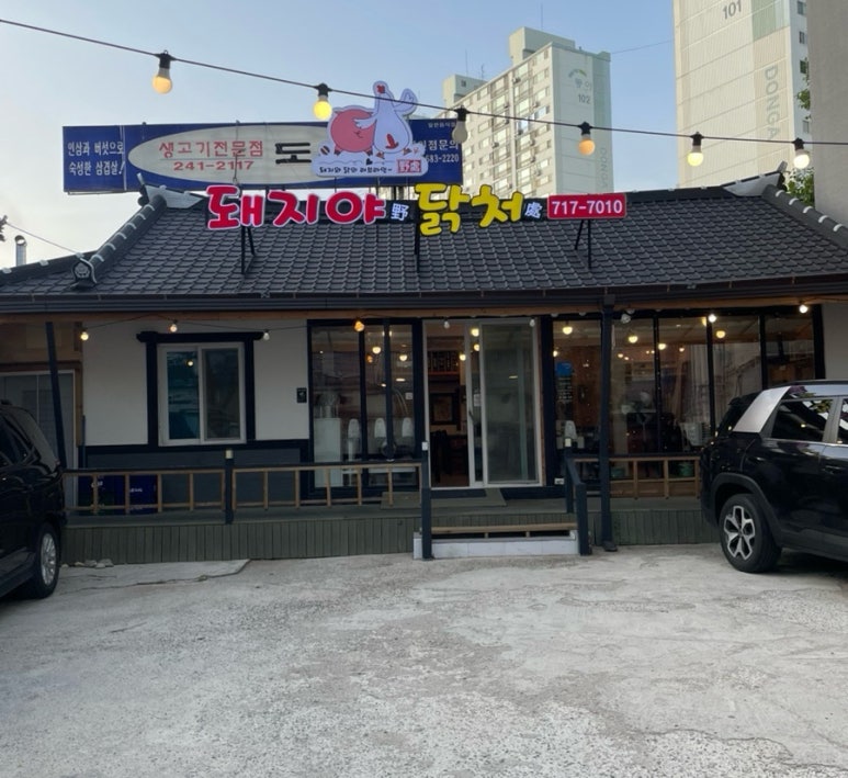 돼지야&닭 이미지