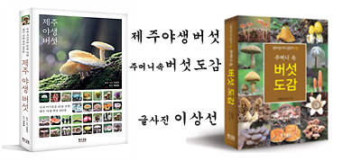 민뽕 이미지