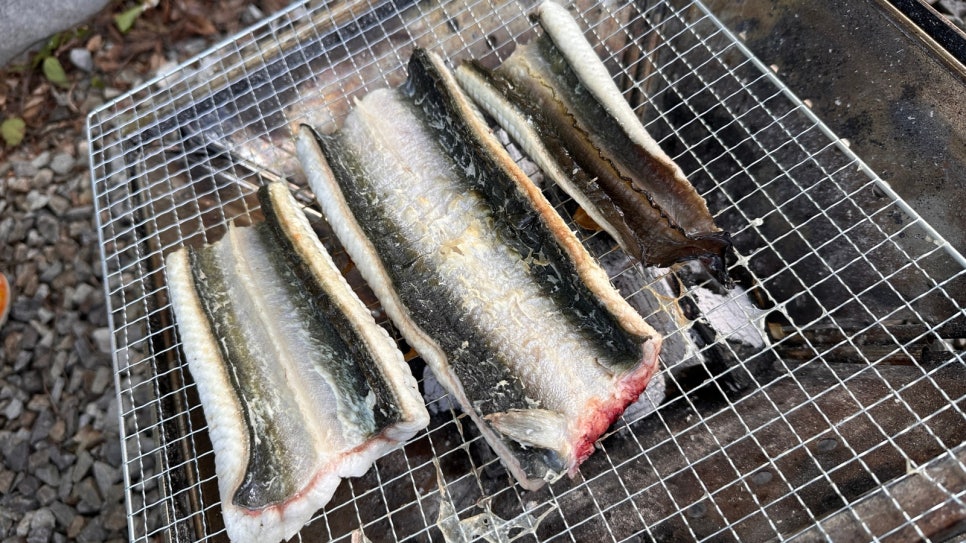 강당골캠핑파크 이미지