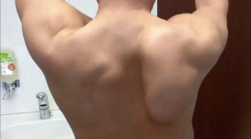 디노짐 이미지