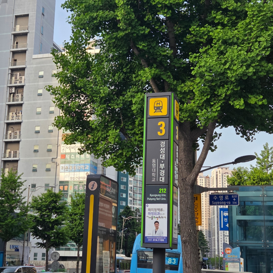 카라에스테틱 이미지