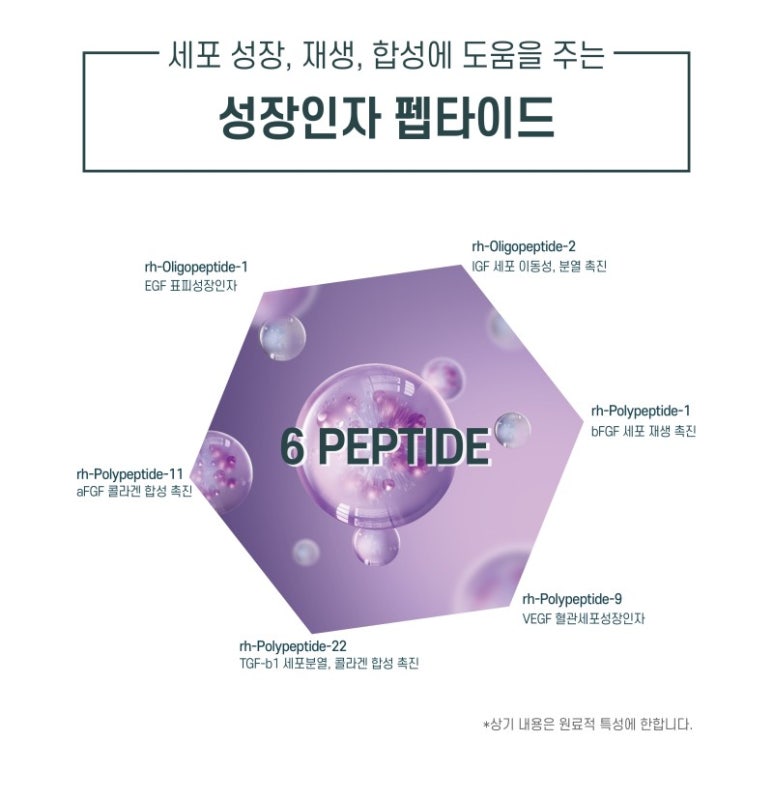 위네이션 이미지