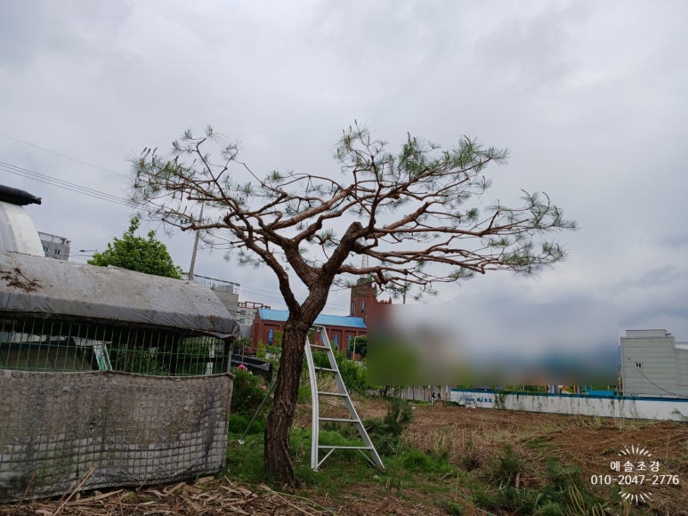 예솔조경 이미지