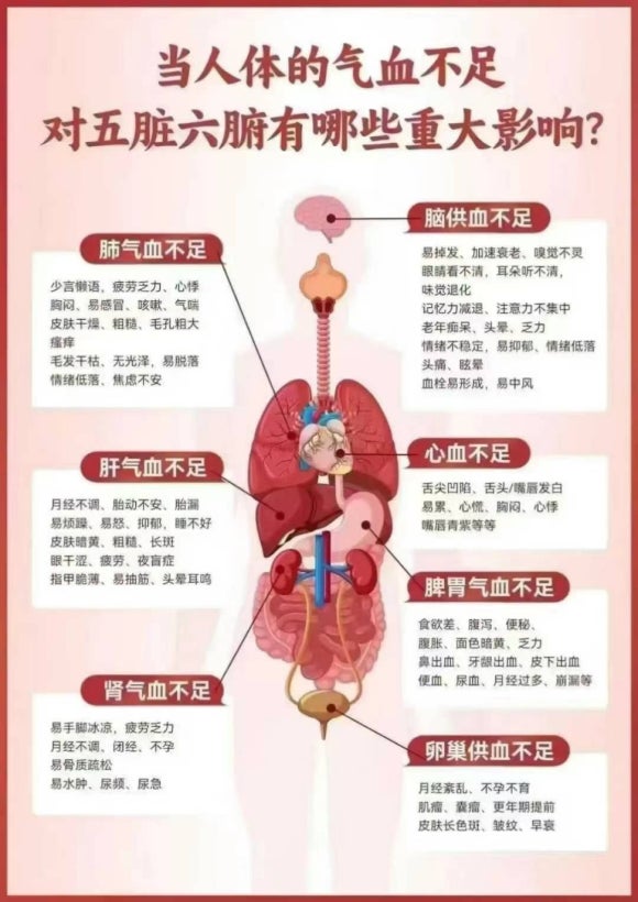 하얼빈테라피 이미지