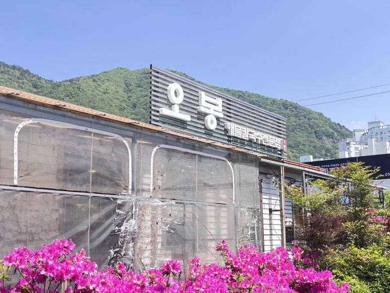 황산칼국수 이미지
