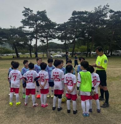 라이온즈스포츠클럽 이미지