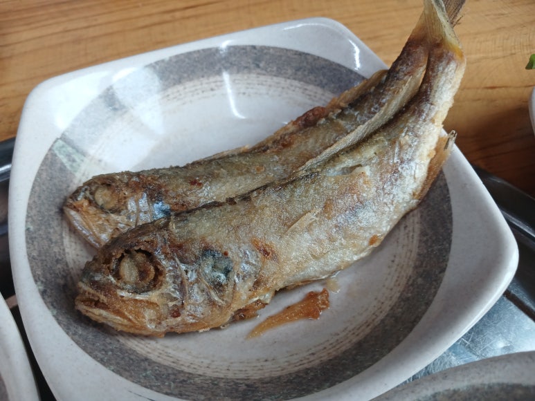 미란네식당 이미지
