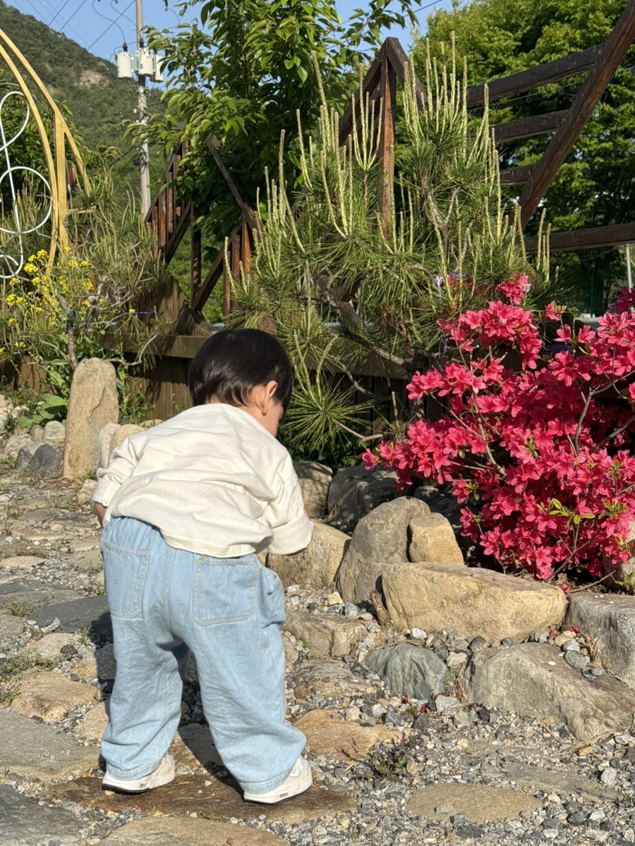 카페메리린 이미지