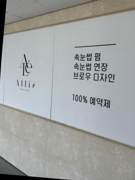 알리에 이미지