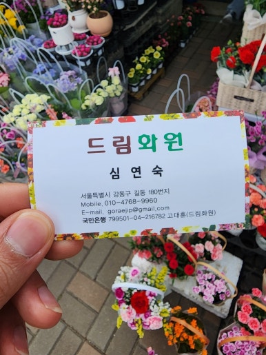 강동꽃화원 이미지