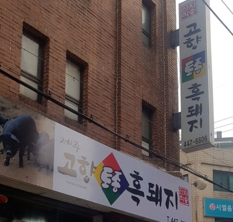 고향토종흑돼지 이미지