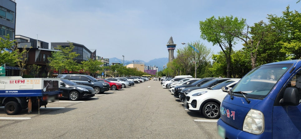 등대편백찜 이미지