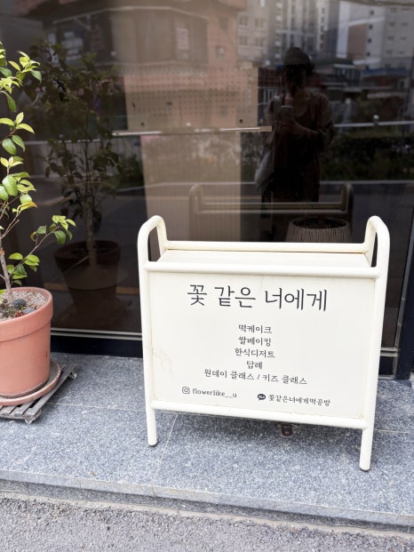 꽃같은너에게 이미지