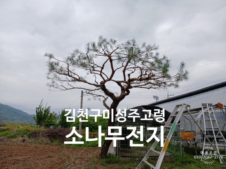 예솔조경 이미지