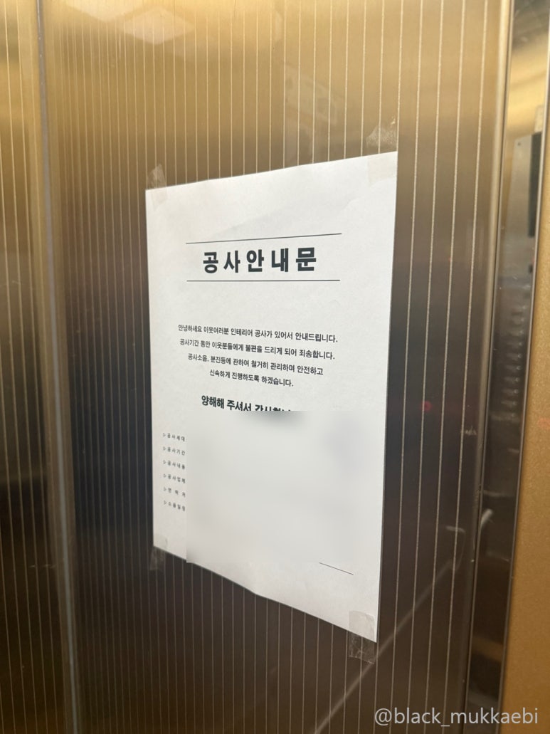 디자인첫봄 이미지