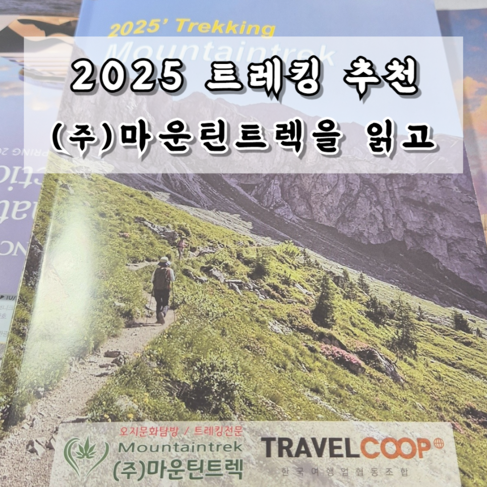 (주)알프스여행사 이미지