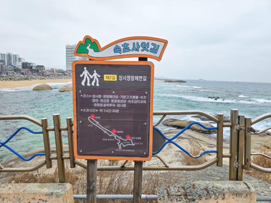라또래요 이미지