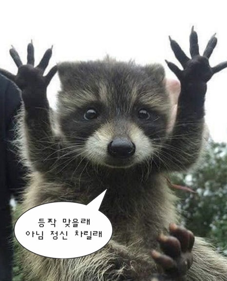 선아 이미지