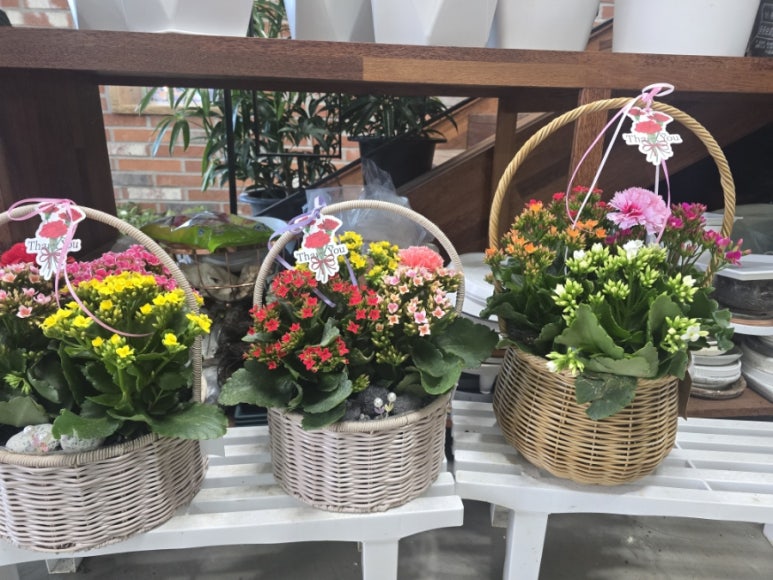 가산식물원 이미지