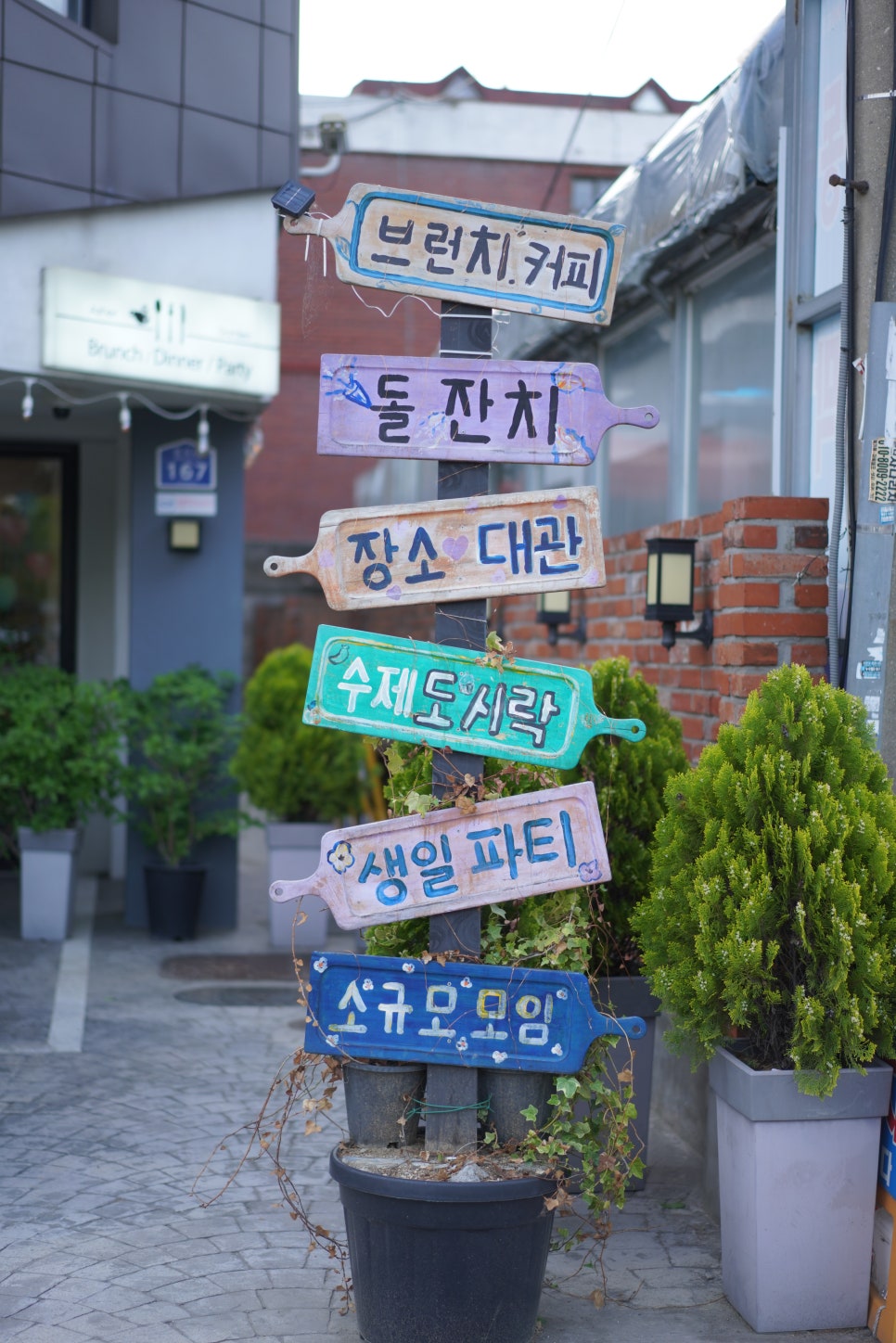 아셀가든 이미지