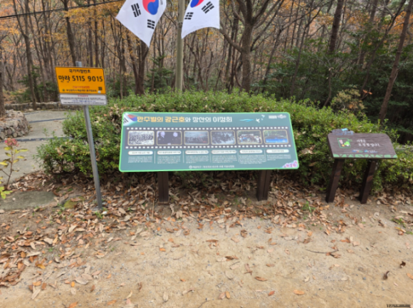 해운대미스터종합광고 이미지