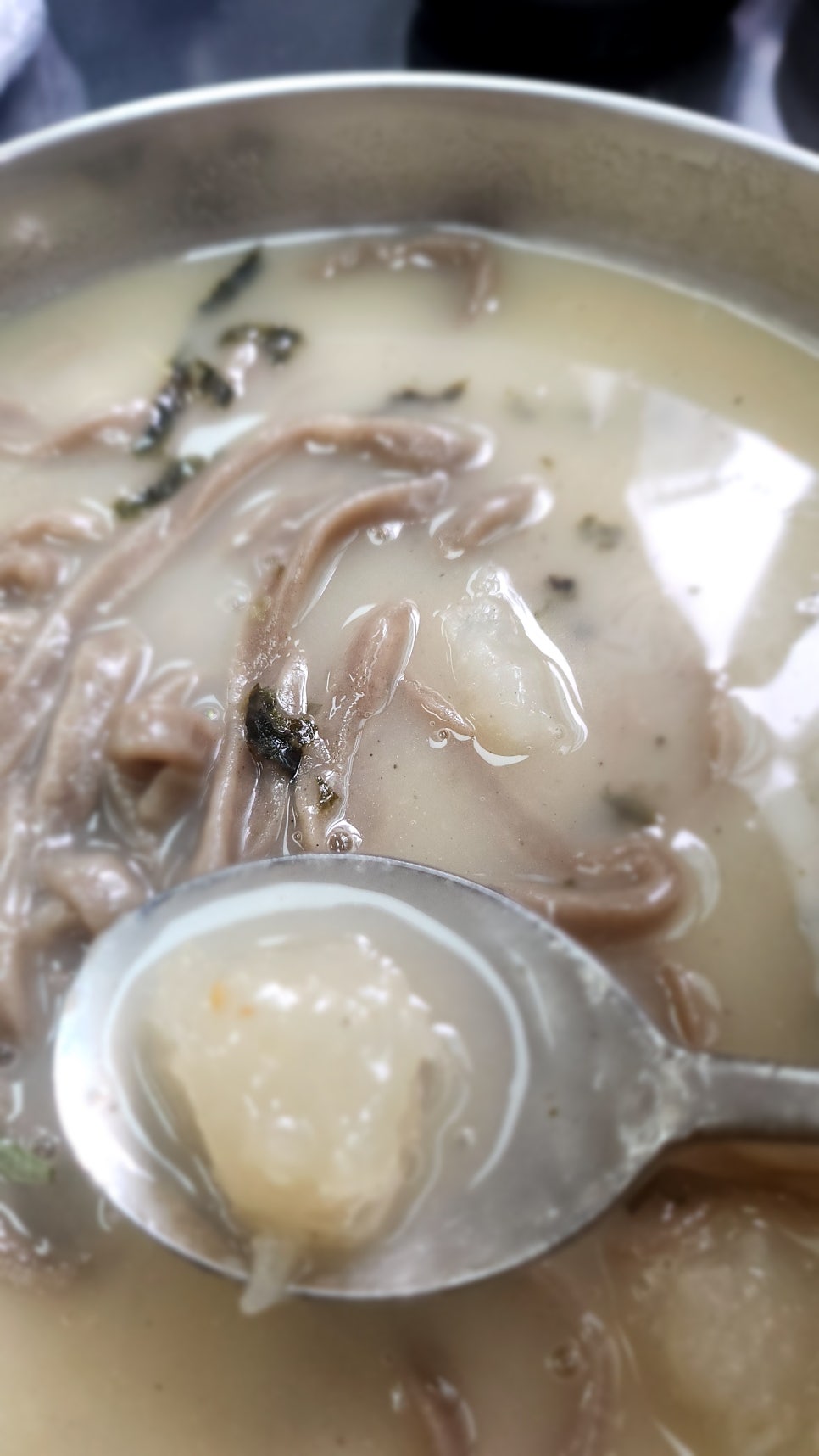 옹칼지네 이미지