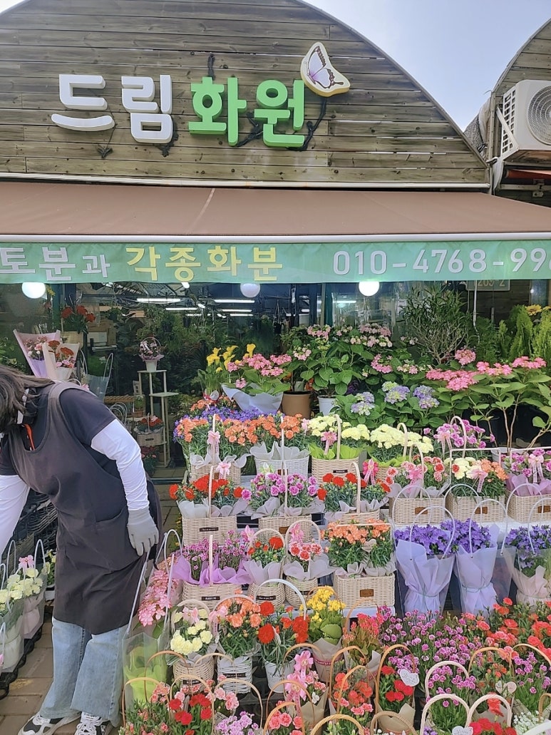 강동꽃화원 이미지