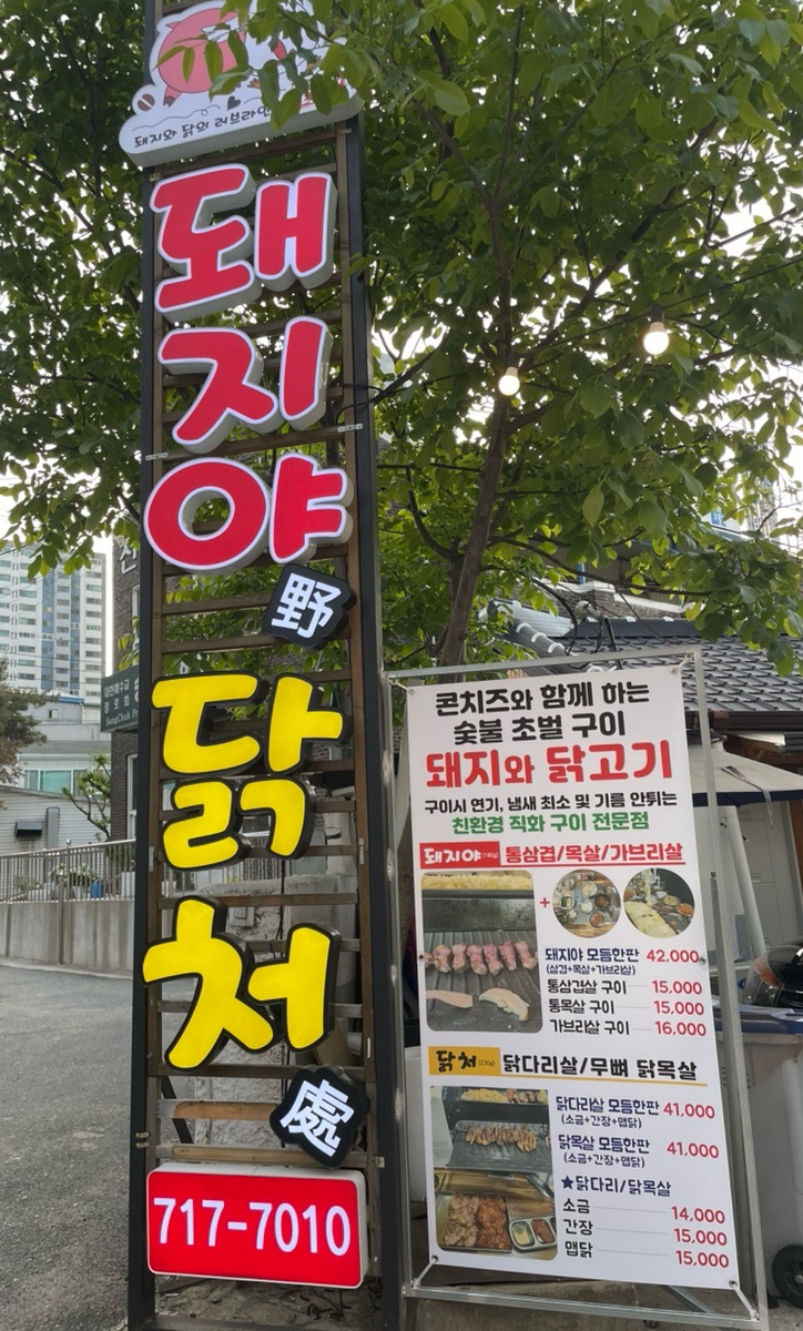 돼지야&닭 이미지