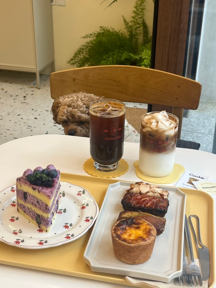 카페멜로소 이미지