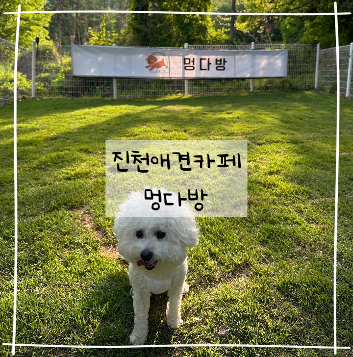 멍다방 이미지