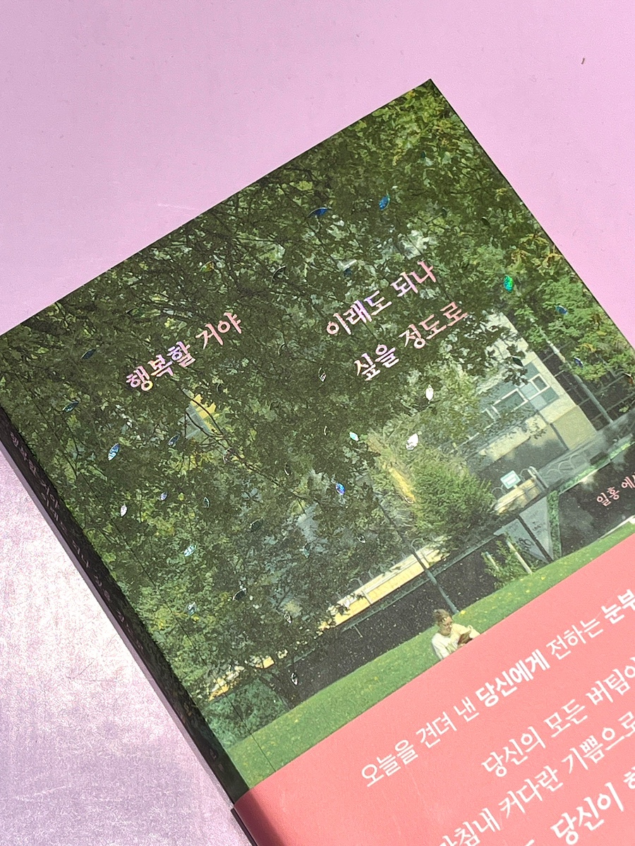 일홍 이미지
