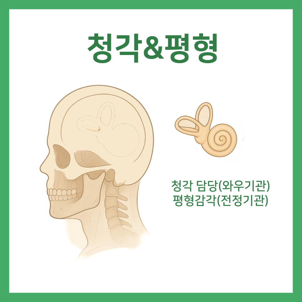 이개의한의원 이미지