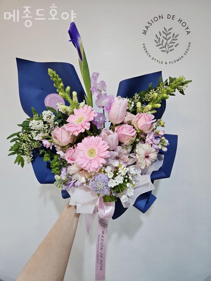 메종드호야 이미지