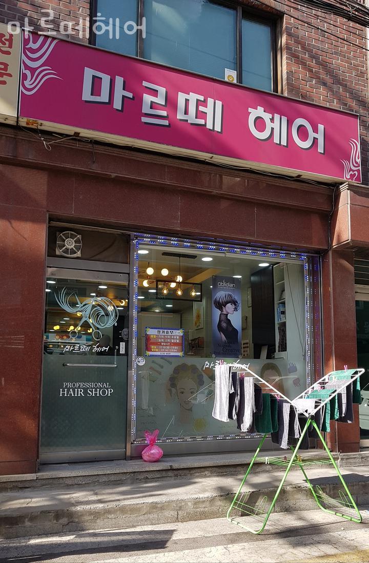 마르떼 이미지