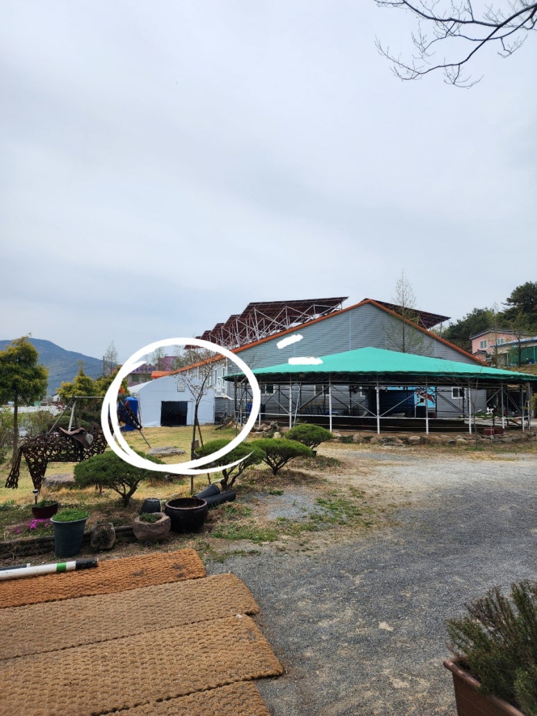 말보르승마장 이미지