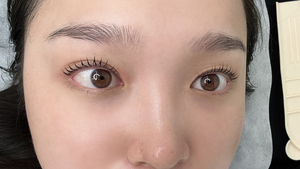 아리솜 이미지