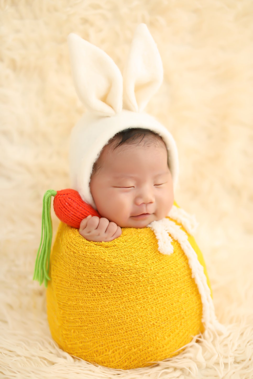 컨셉베이지 이미지