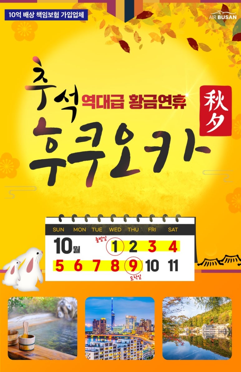 강대표투어 이미지