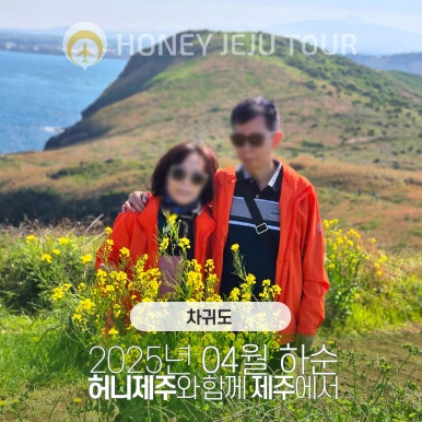 제주다정여행사 이미지