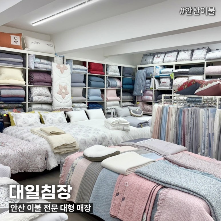 대일침장 이미지