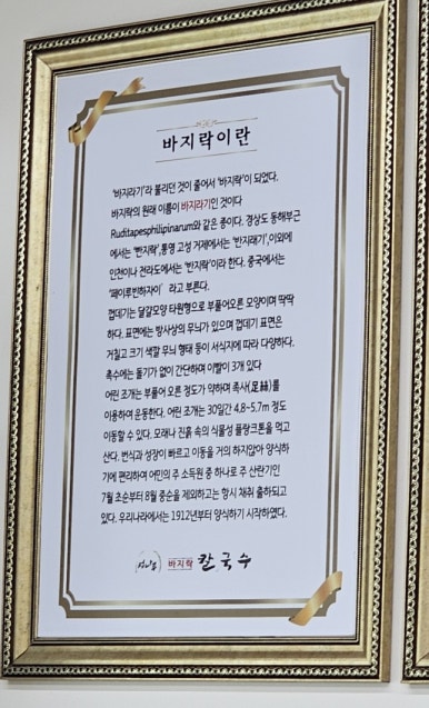 섬나루바지락칼국수 이미지