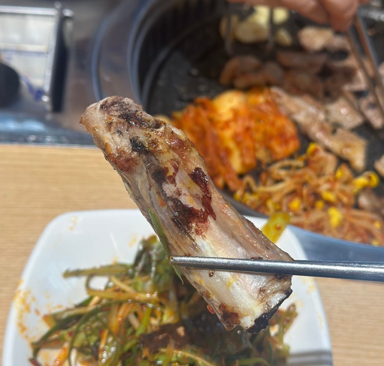 돈보리 이미지