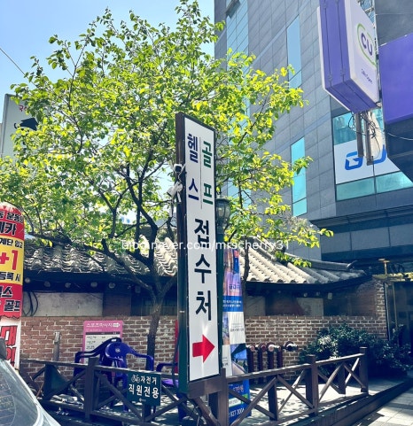 국수먹는꼴뚜기 이미지