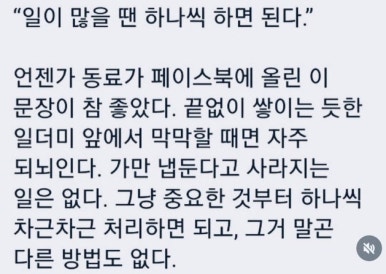쑥이야기 이미지