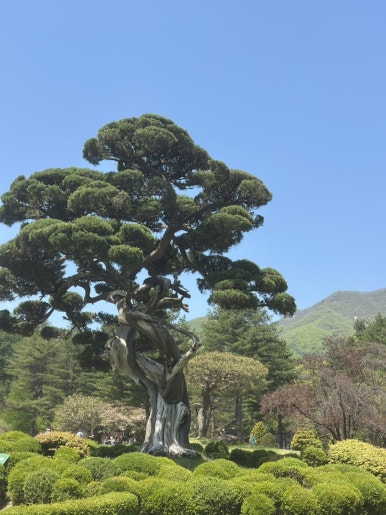 산골펜션 이미지