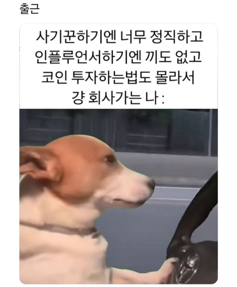 희노애락 이미지