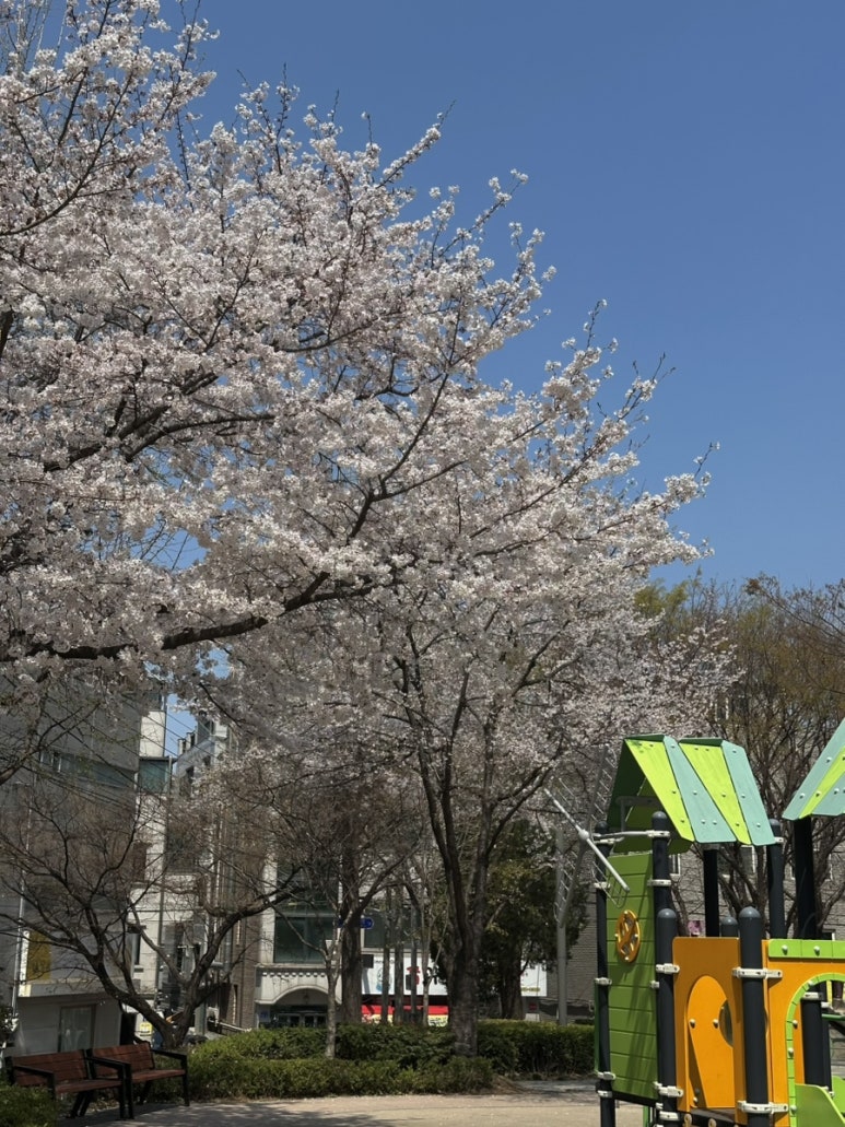 김밥천국 문정로데오 이미지