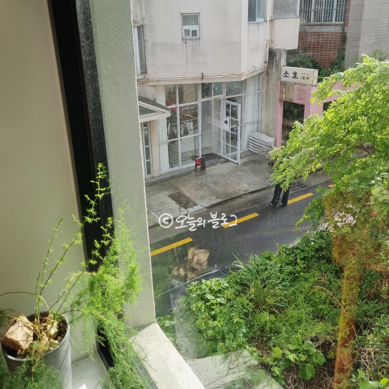 로지트리 이미지