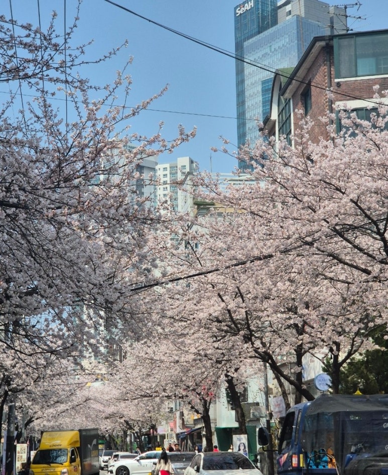 은하루 이미지